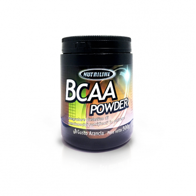 BCAA POWDER (500g)